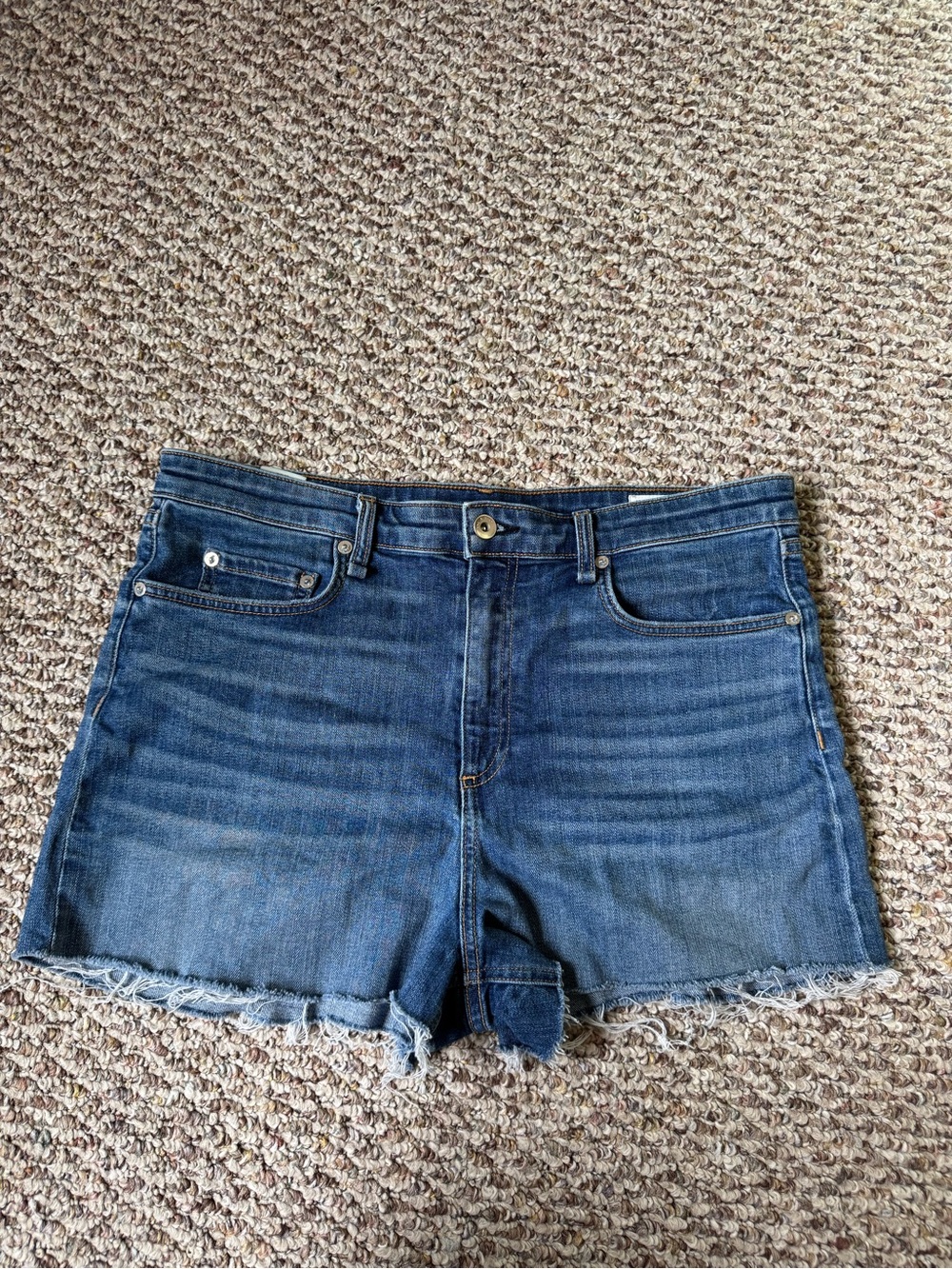 Rag & Bone Nina High Rise Shorts size 32